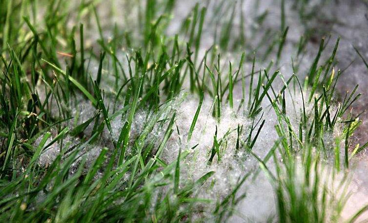 冬季將至，如何除去人造草皮中的冰雪？鉆石地為您支招